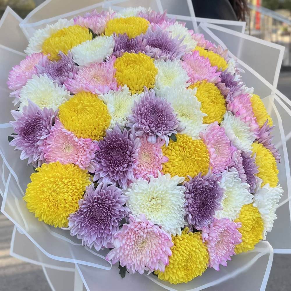 Акция! 51 хризантема Микс