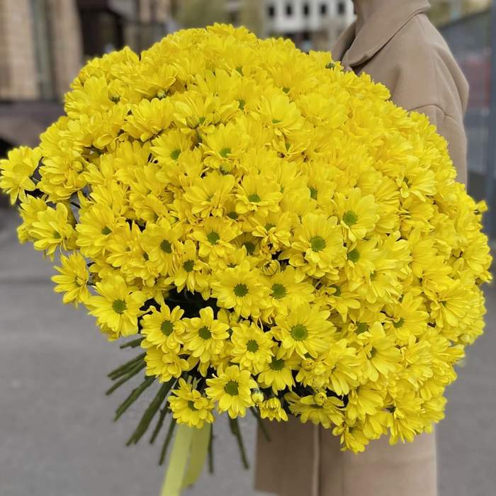 Акция! 51 жёлтая кустовая хризантема