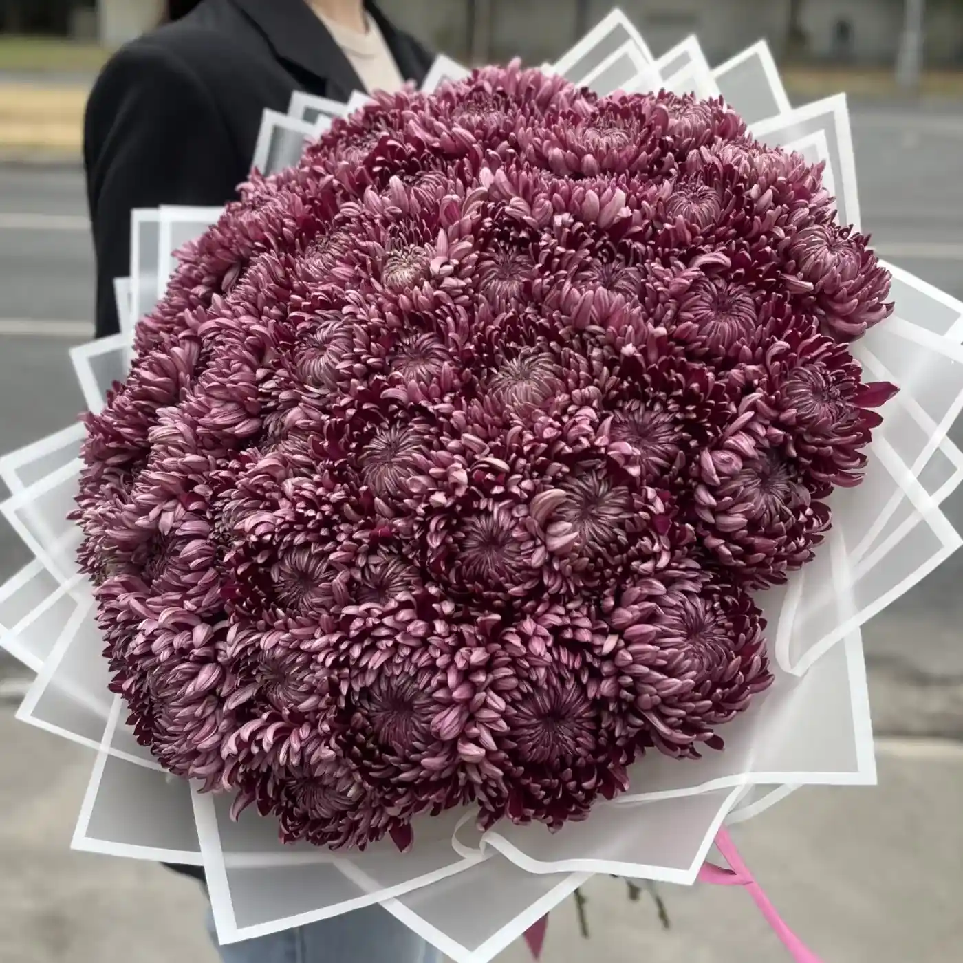 Акция! 51 фиолетовая хризантема