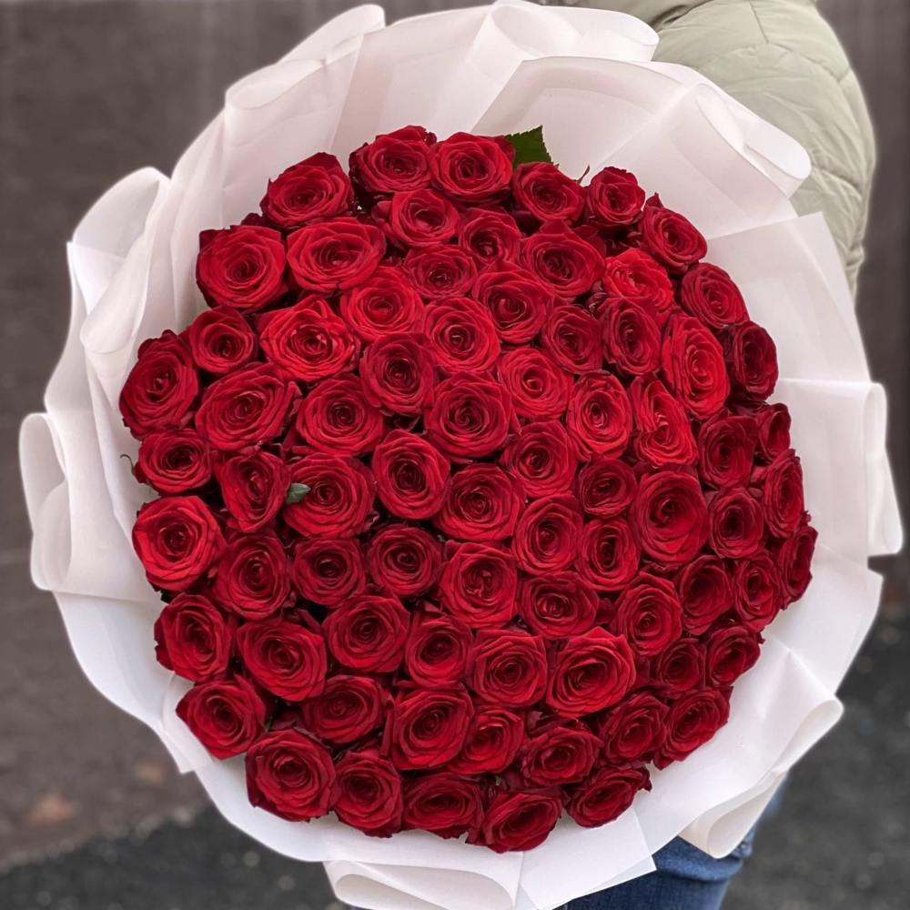 Акция! 75 красных роз Premium 50 см.