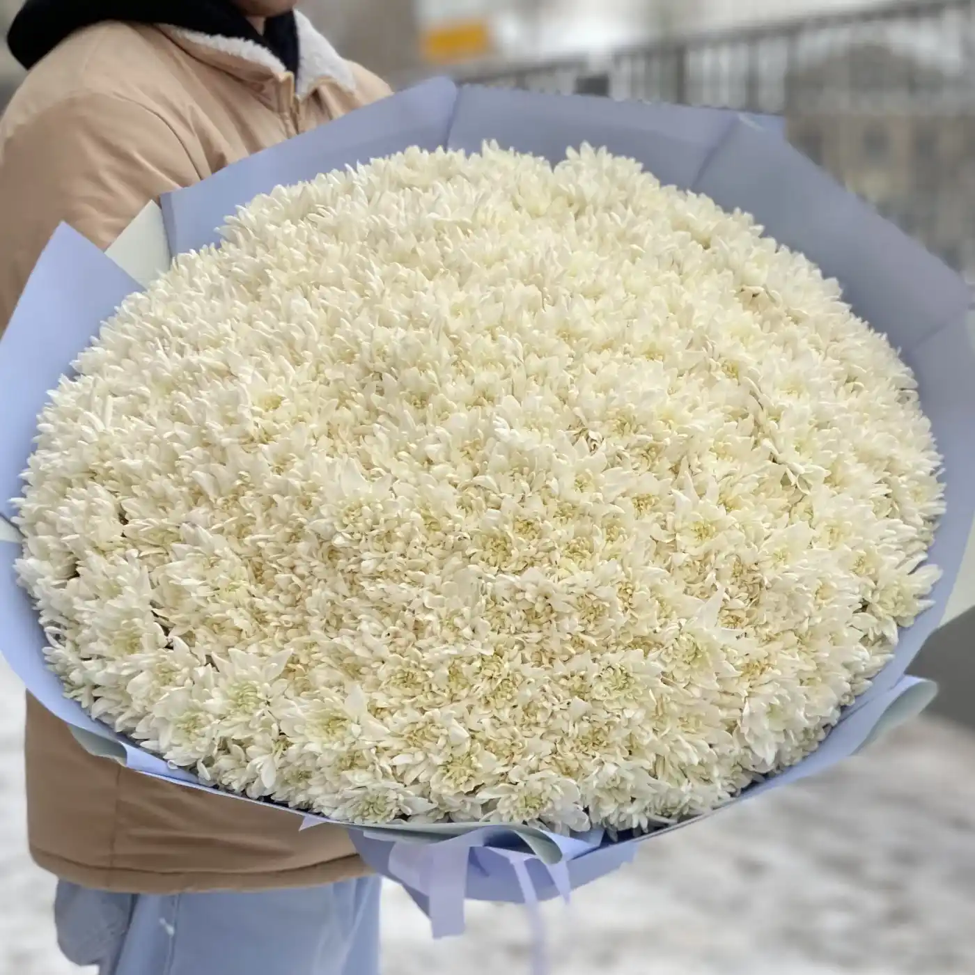 Акция! 101 белая кустовая хризантема в оформлении