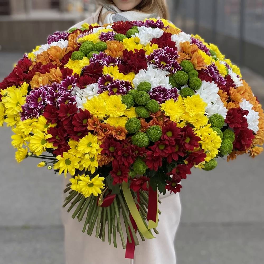 Акция! 101 кустовая хризантема Яркий Микс