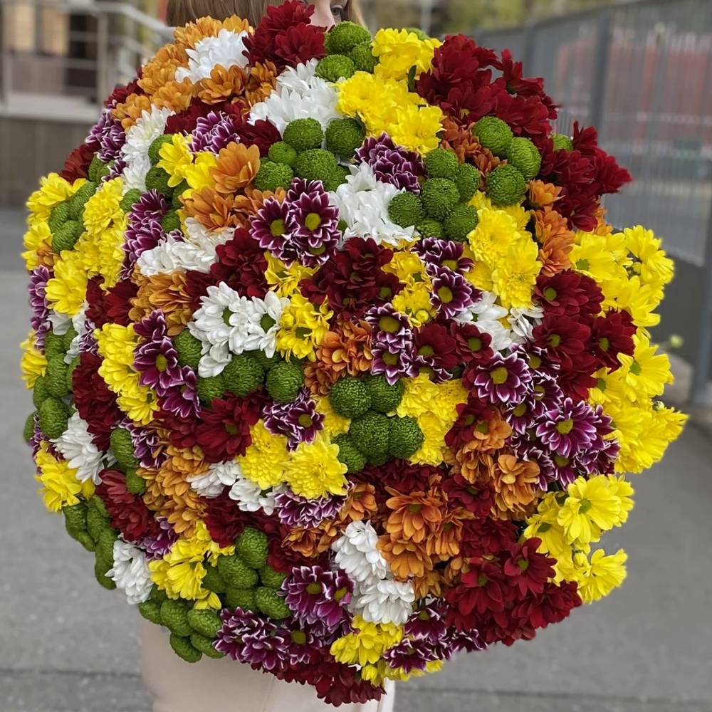 Акция! 101 кустовая хризантема Яркий Микс
