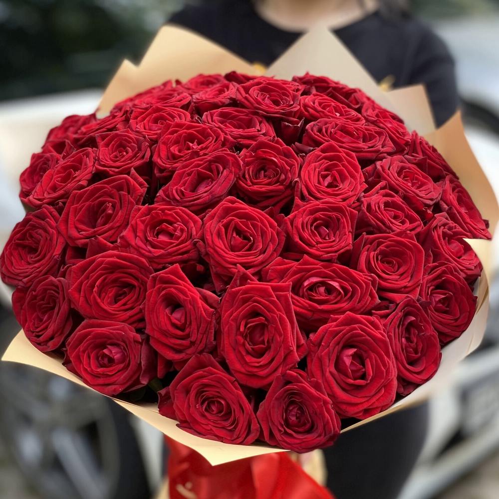 Акция! 51 красная роза Premium 50 см.