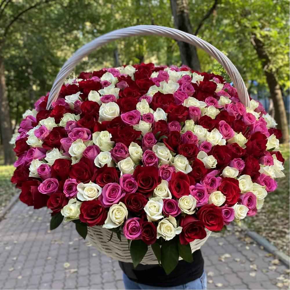 Акция! 301 роза Яркий Mix в корзине!