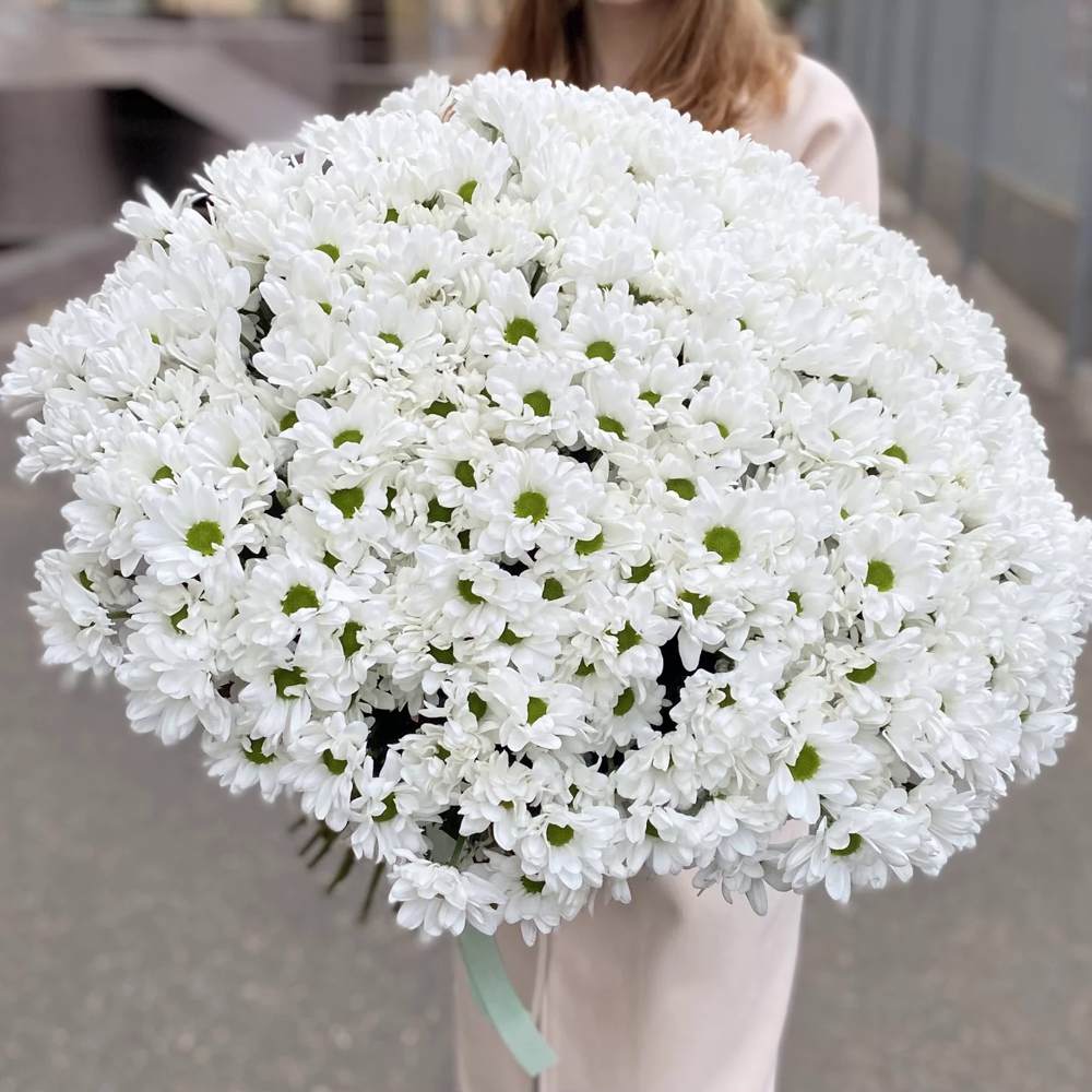 Акция! 51 белая кустовая хризантема