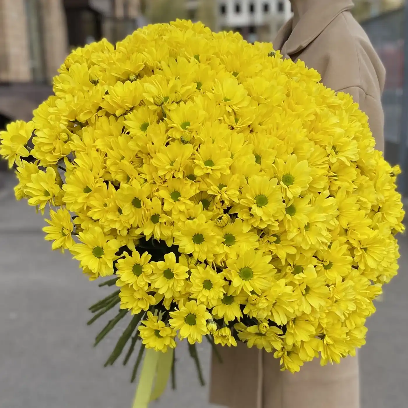 Акция! 51 жёлтая кустовая хризантема