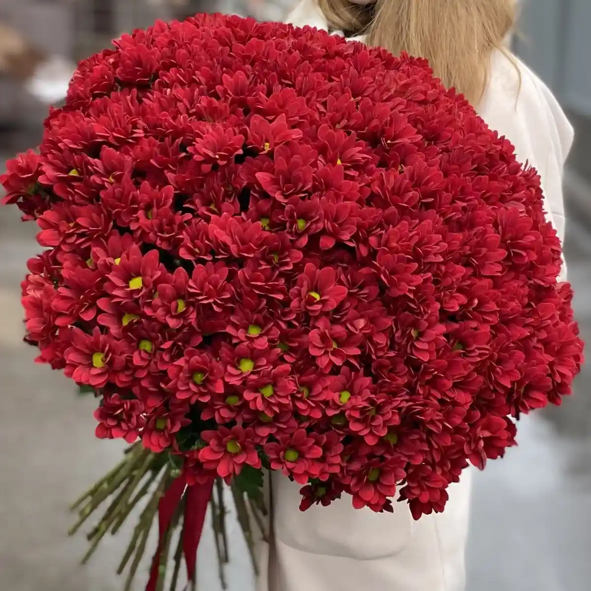 Акция! 51 бордовая кустовая хризантема