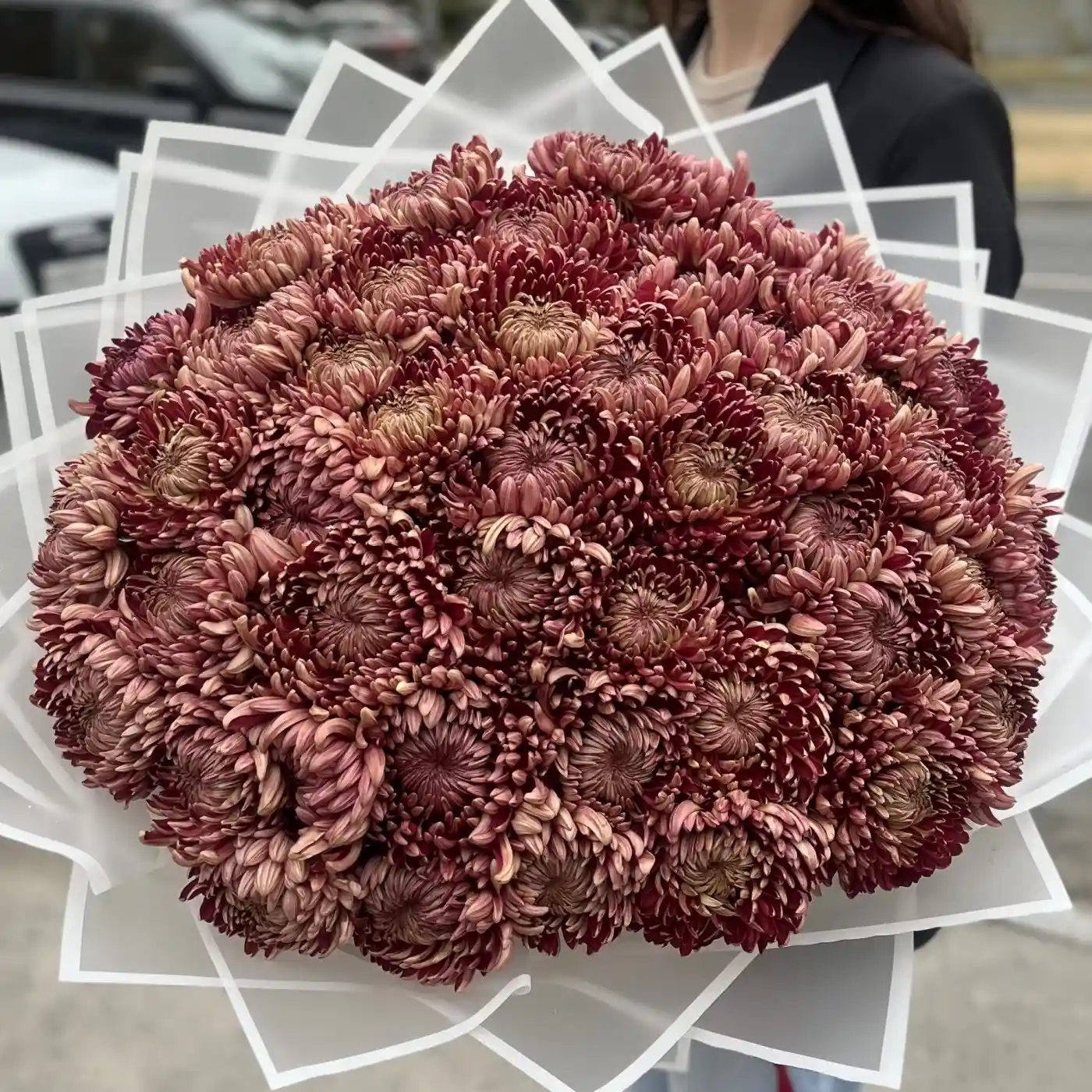 Акция! 51 бордовая хризантема