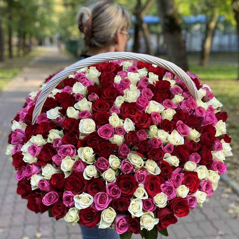 Акция! 301 роза Яркий Mix в корзине!