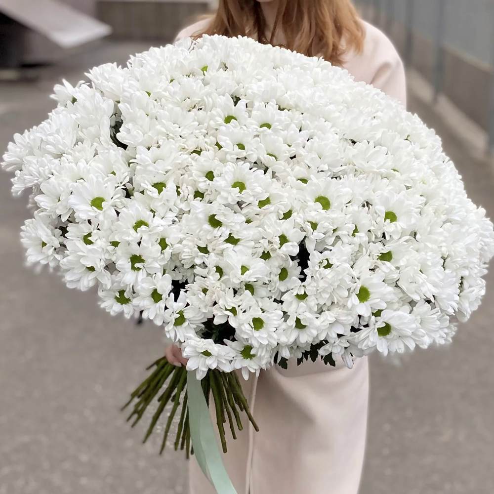 Акция! 51 белая кустовая хризантема