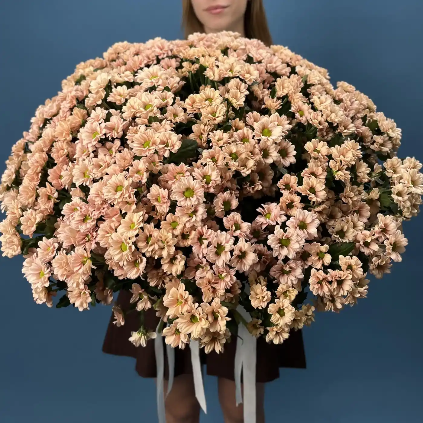 Акция! 101 кремовая кустовая хризантема!