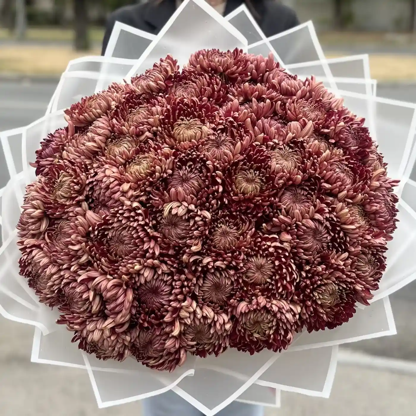 Акция! 51 бордовая хризантема