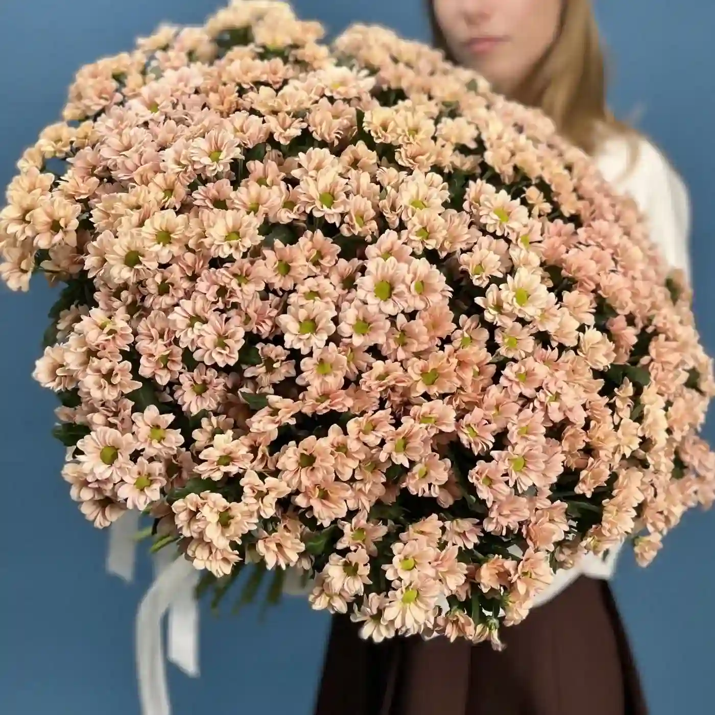 Акция! 101 кремовая кустовая хризантема!