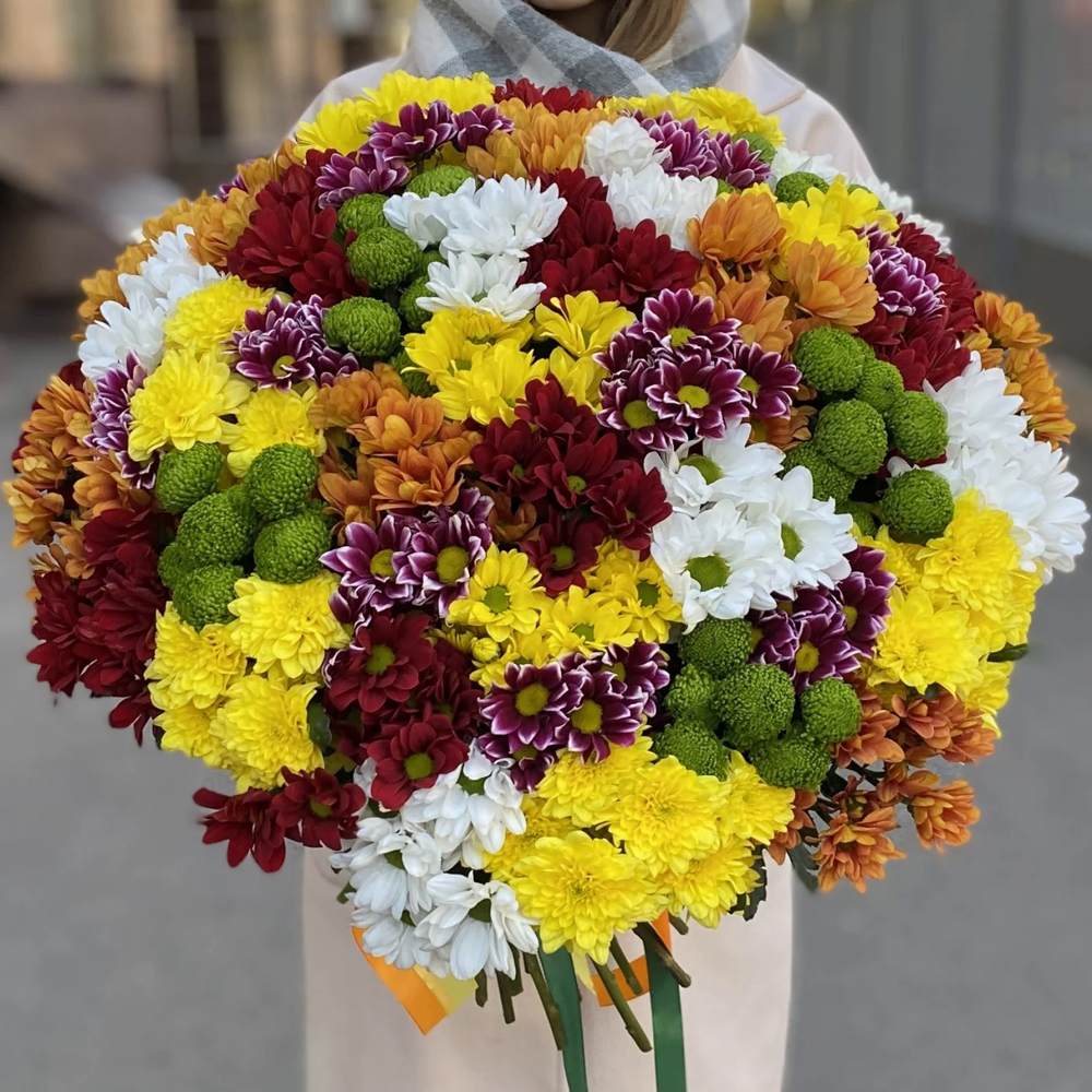 Акция! 51 кустовая хризантема Яркий Микс