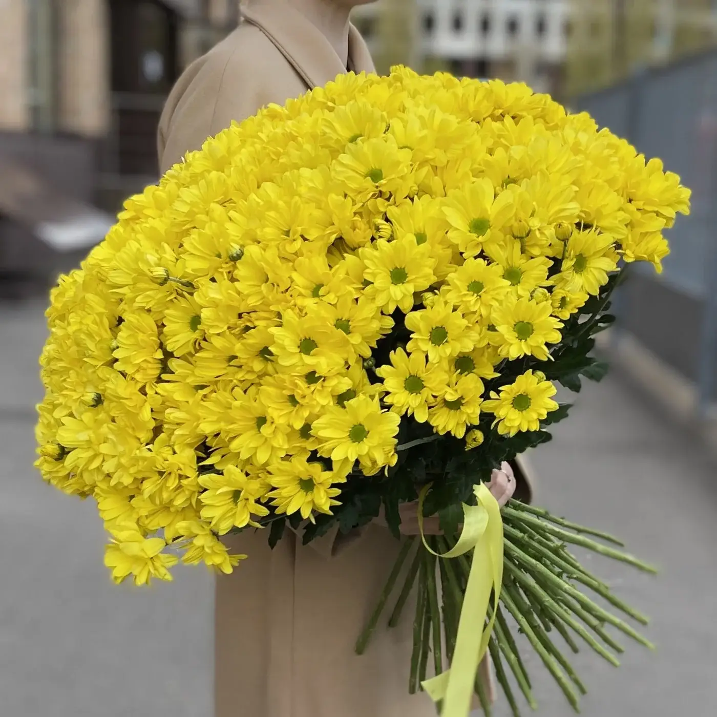 Акция! 51 жёлтая кустовая хризантема