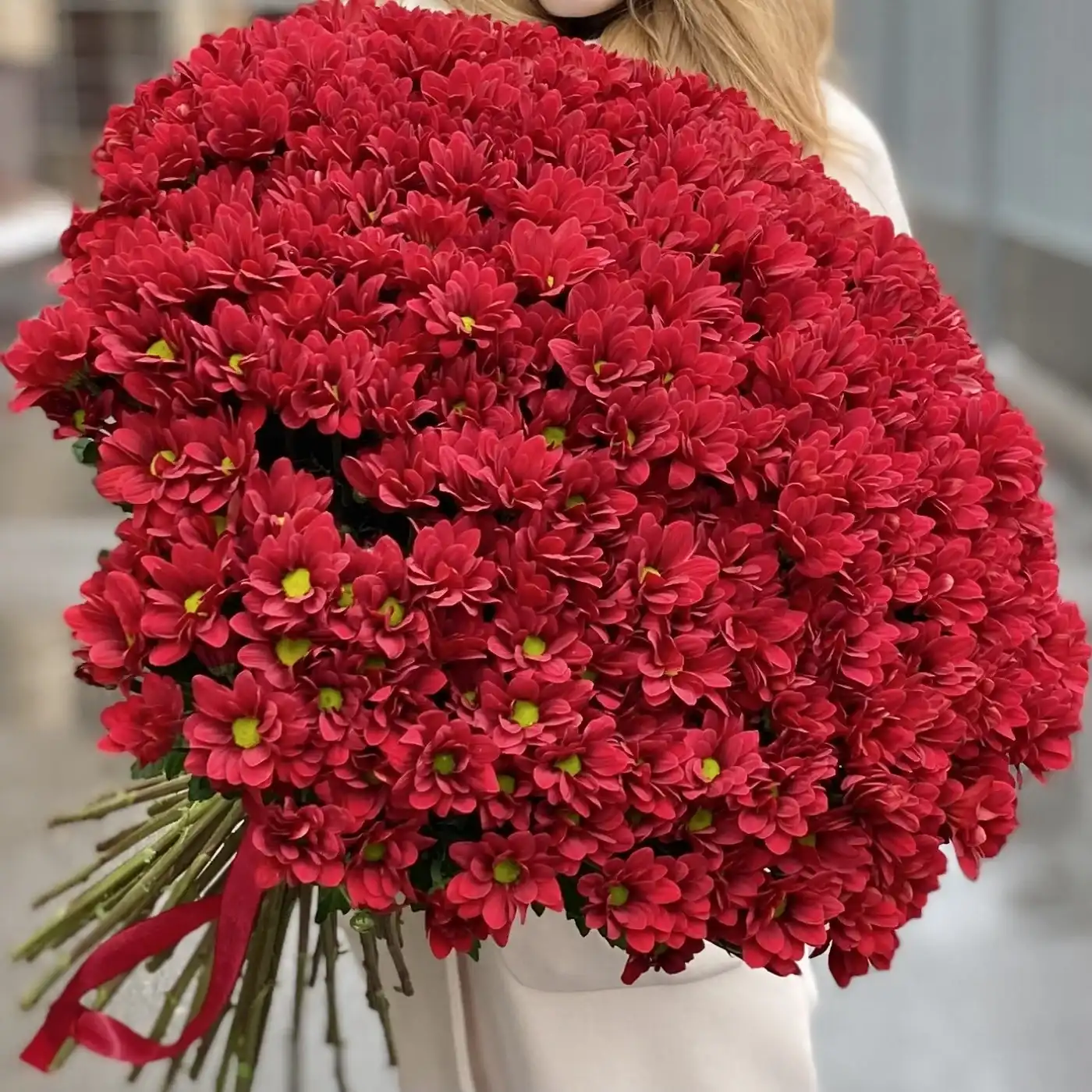 Акция! 51 бордовая кустовая хризантема