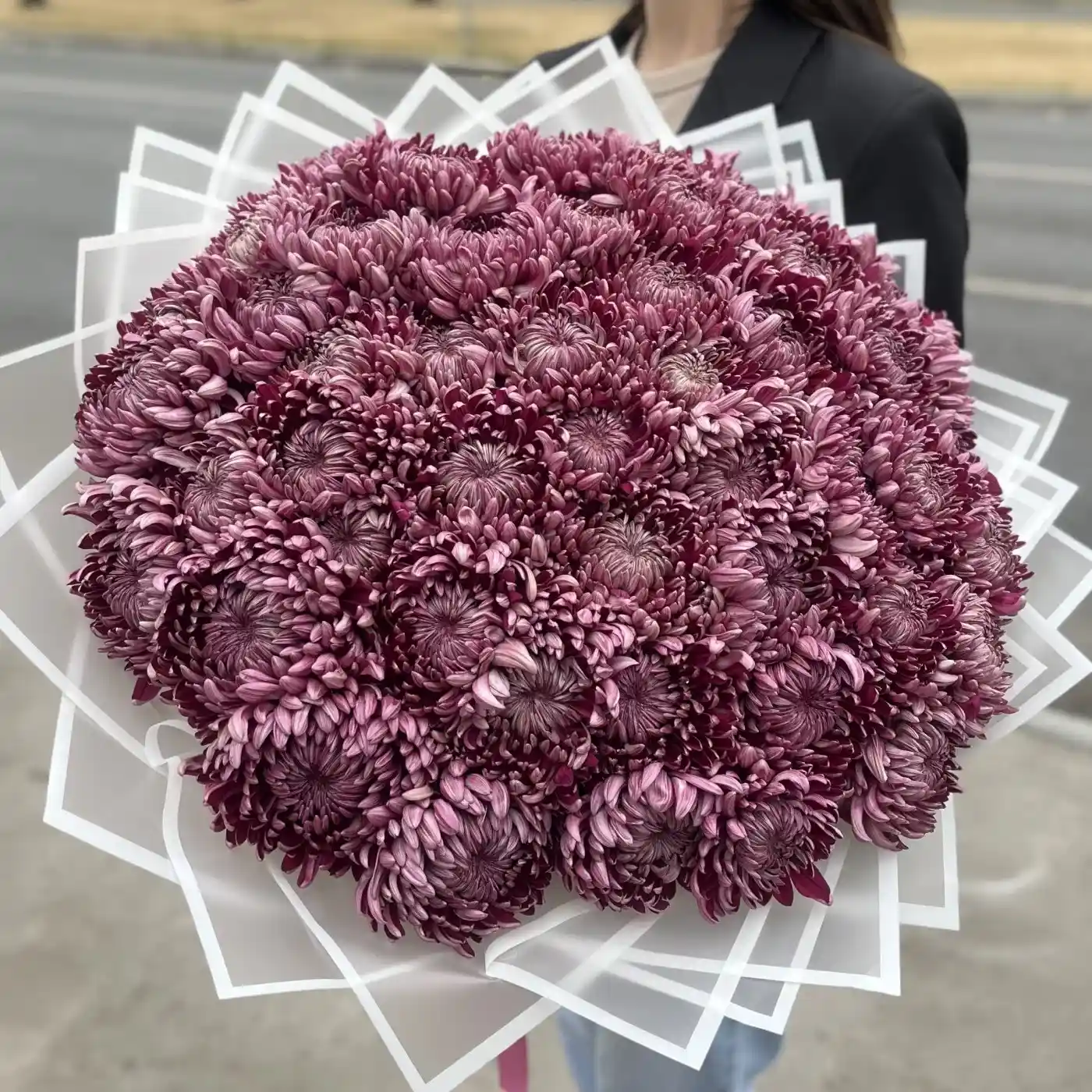 Акция! 51 фиолетовая хризантема