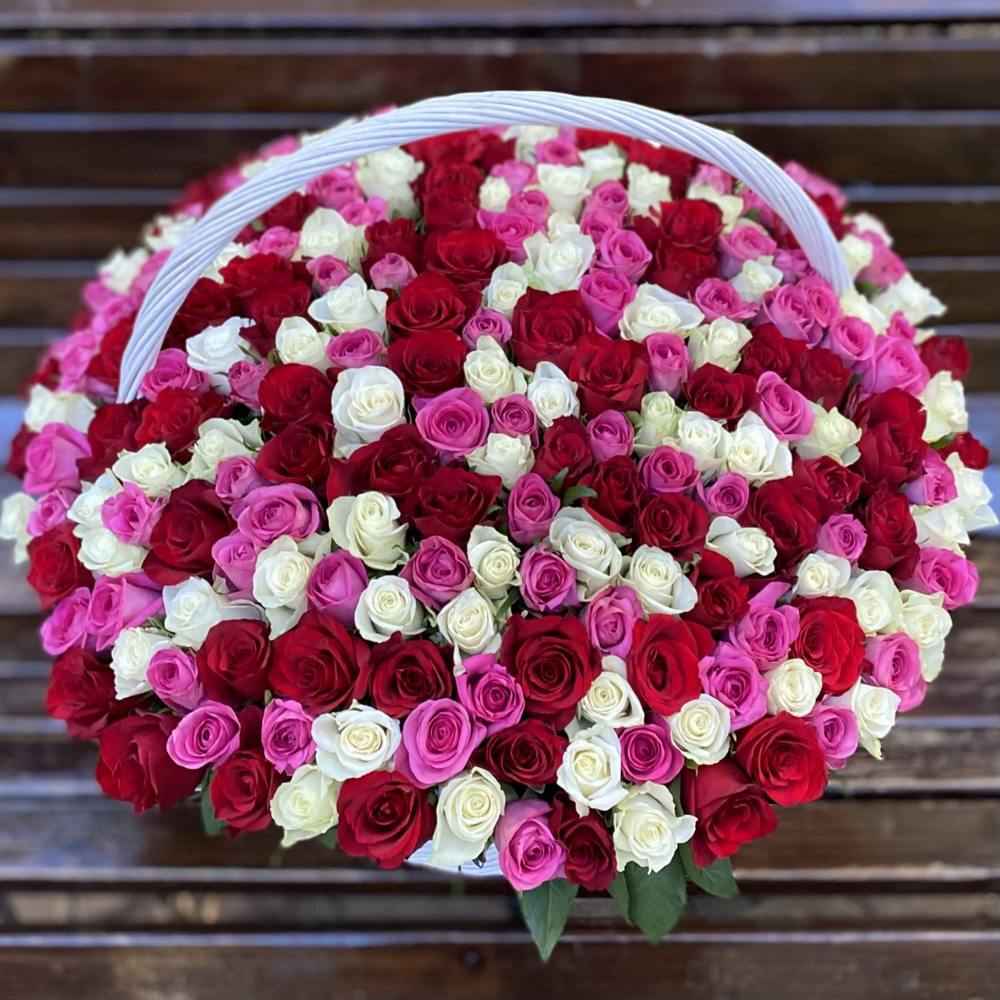 Акция! 301 роза Яркий Mix в корзине!