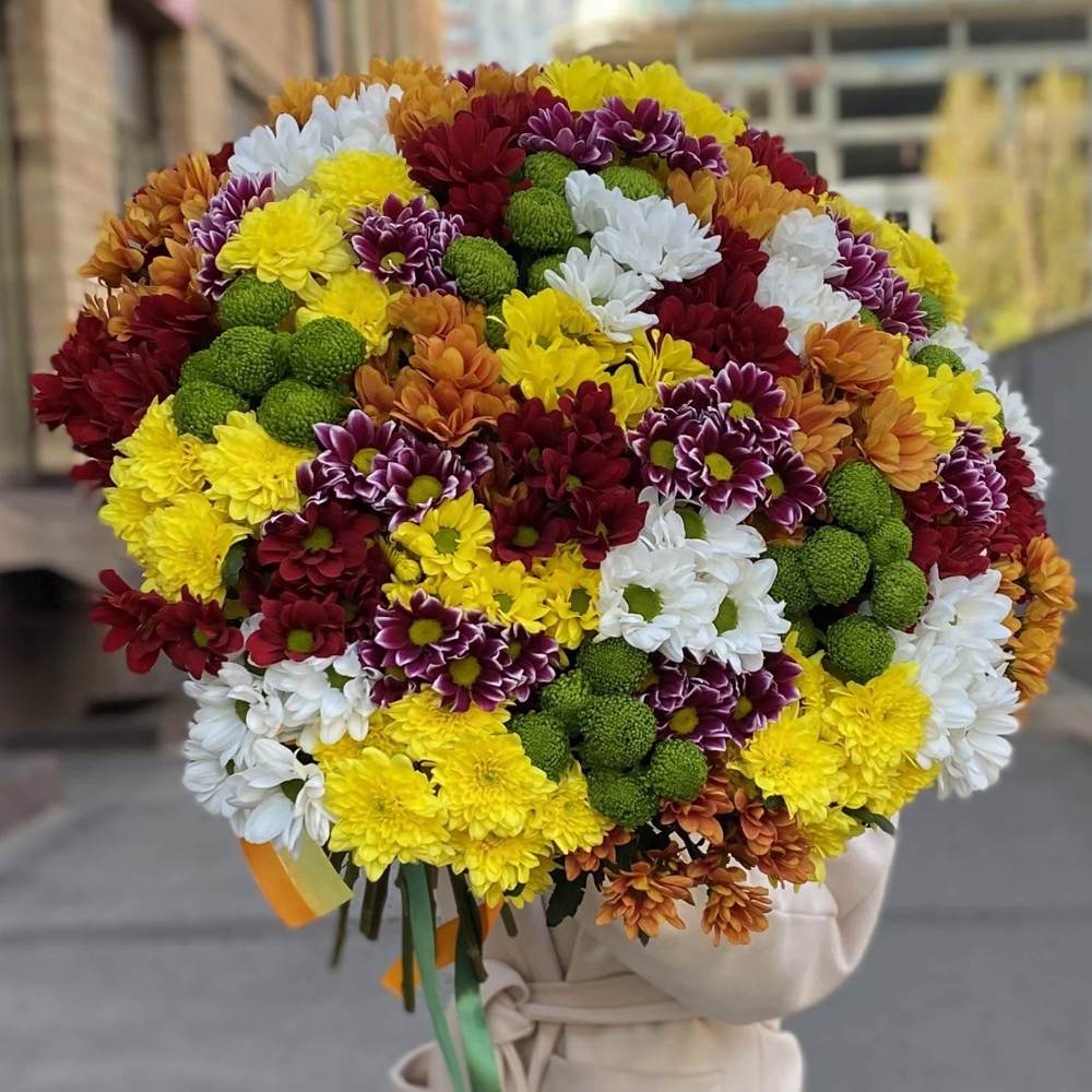 Акция! 51 кустовая хризантема Яркий Микс