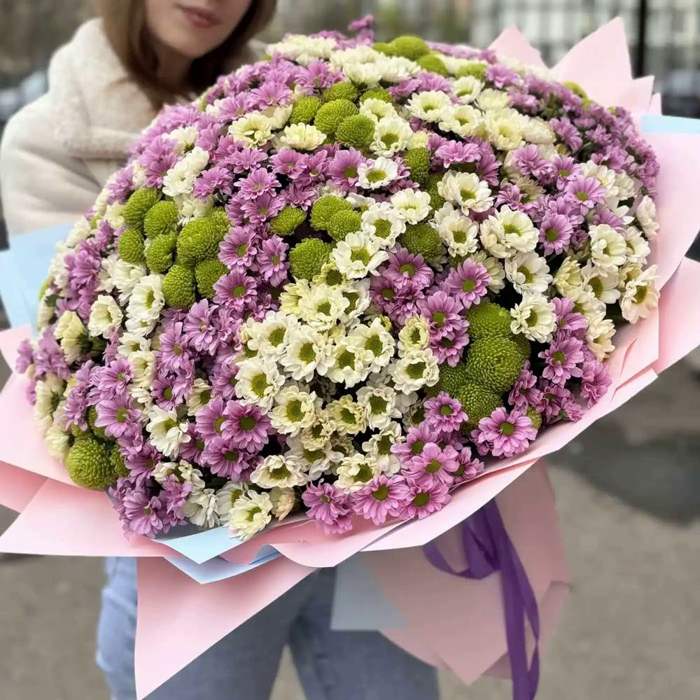 Акция! 101 хризантема сантини Микс