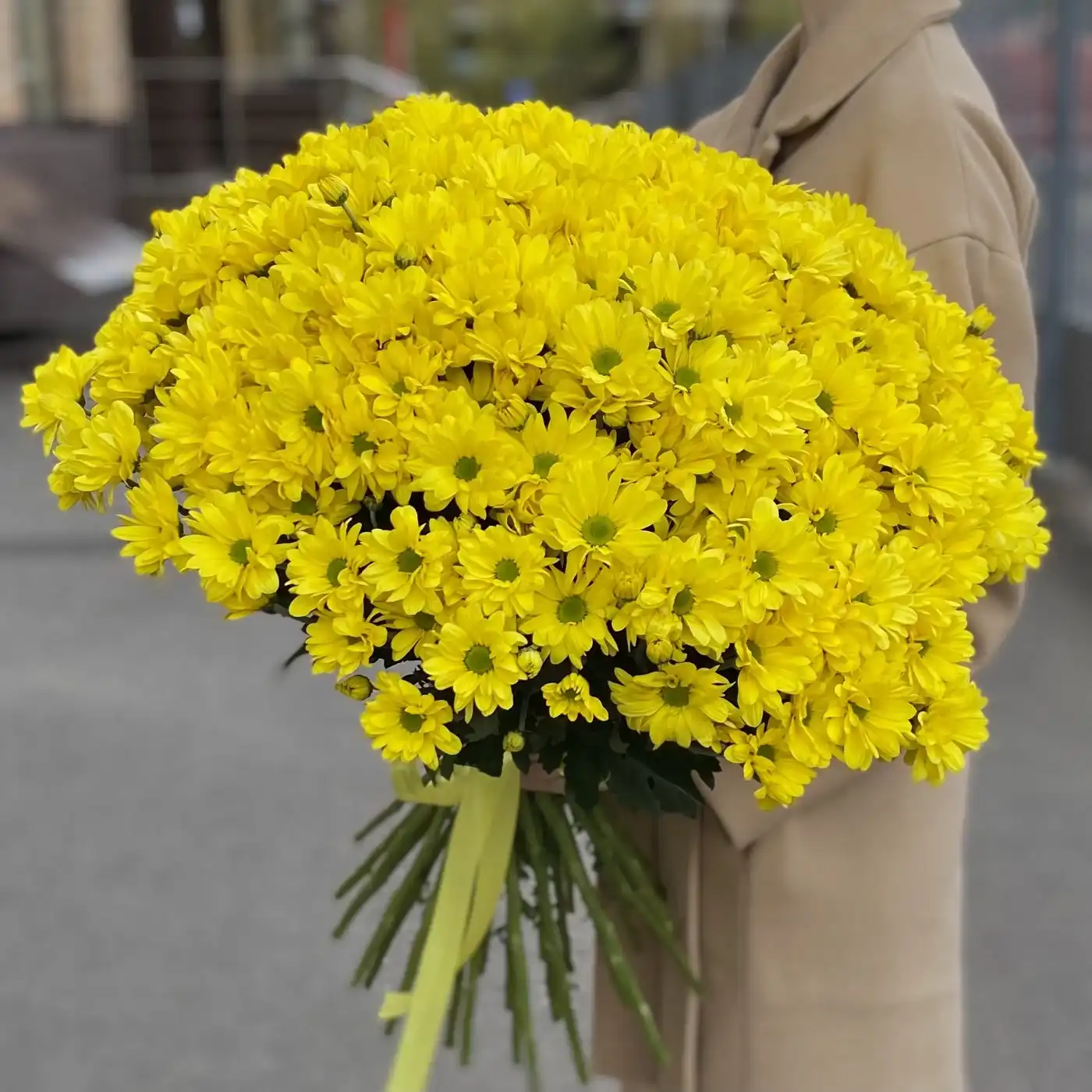 Акция! 51 жёлтая кустовая хризантема