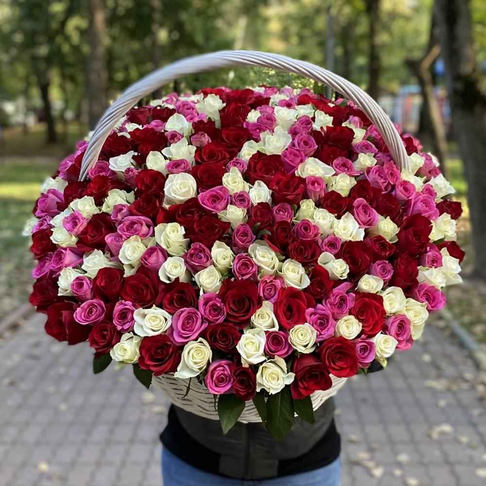 Акция! 301 роза Яркий Mix в корзине!