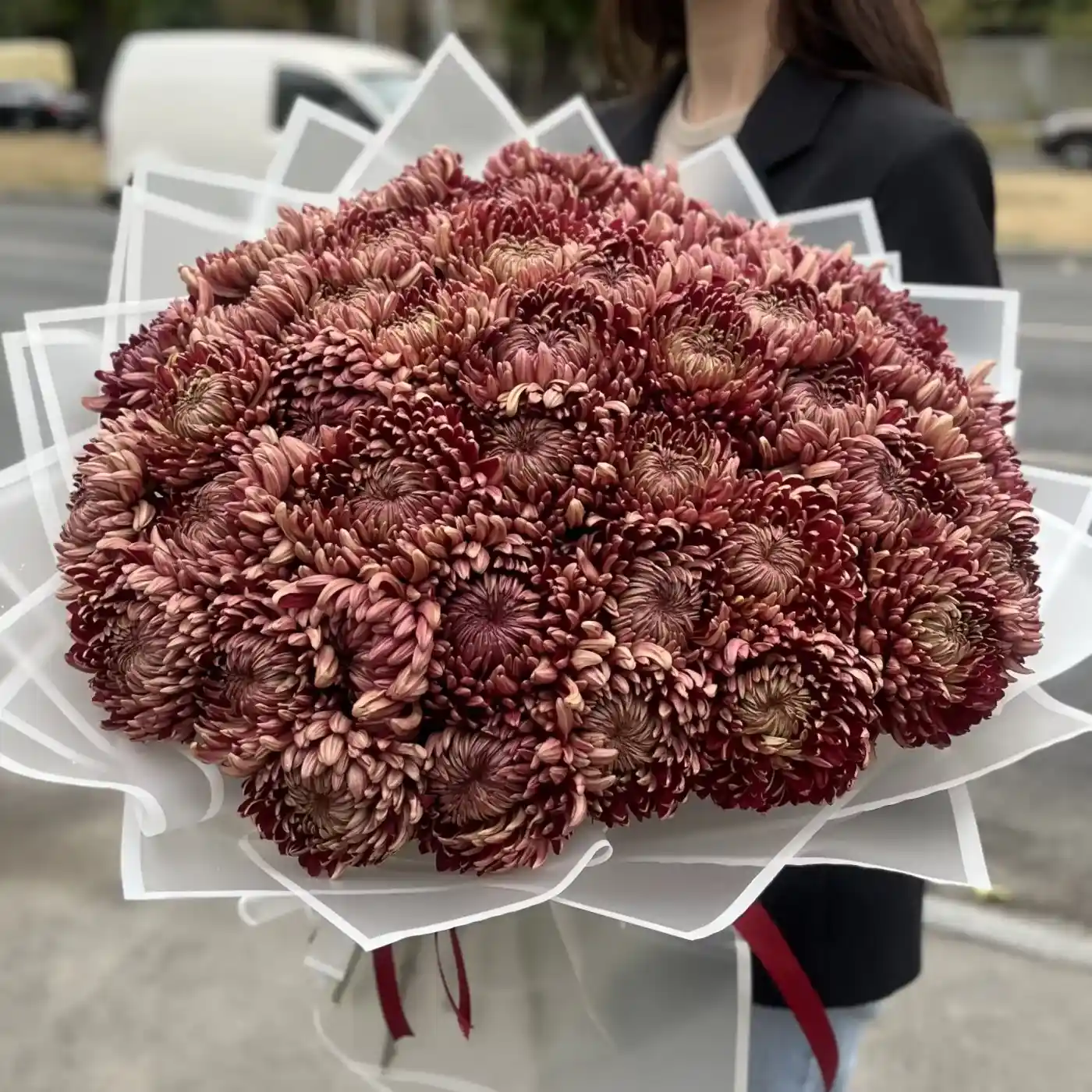 Акция! 51 бордовая хризантема