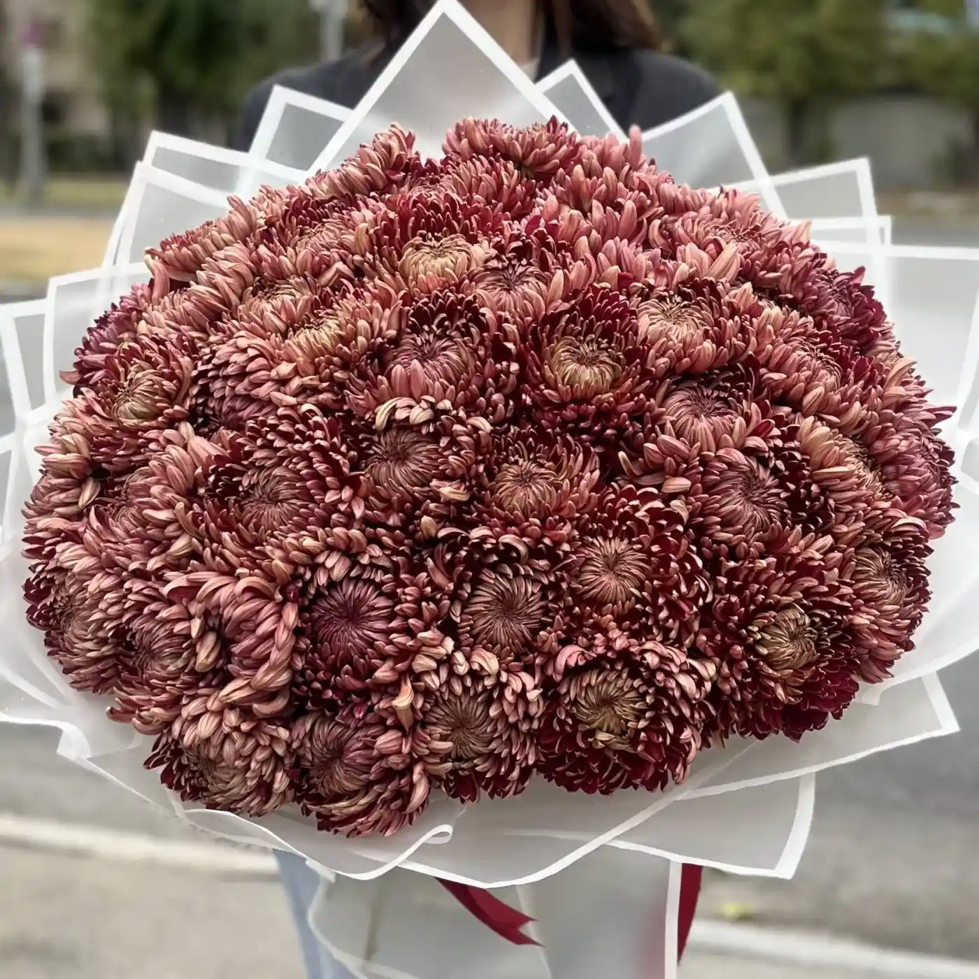 Акция! 51 бордовая хризантема