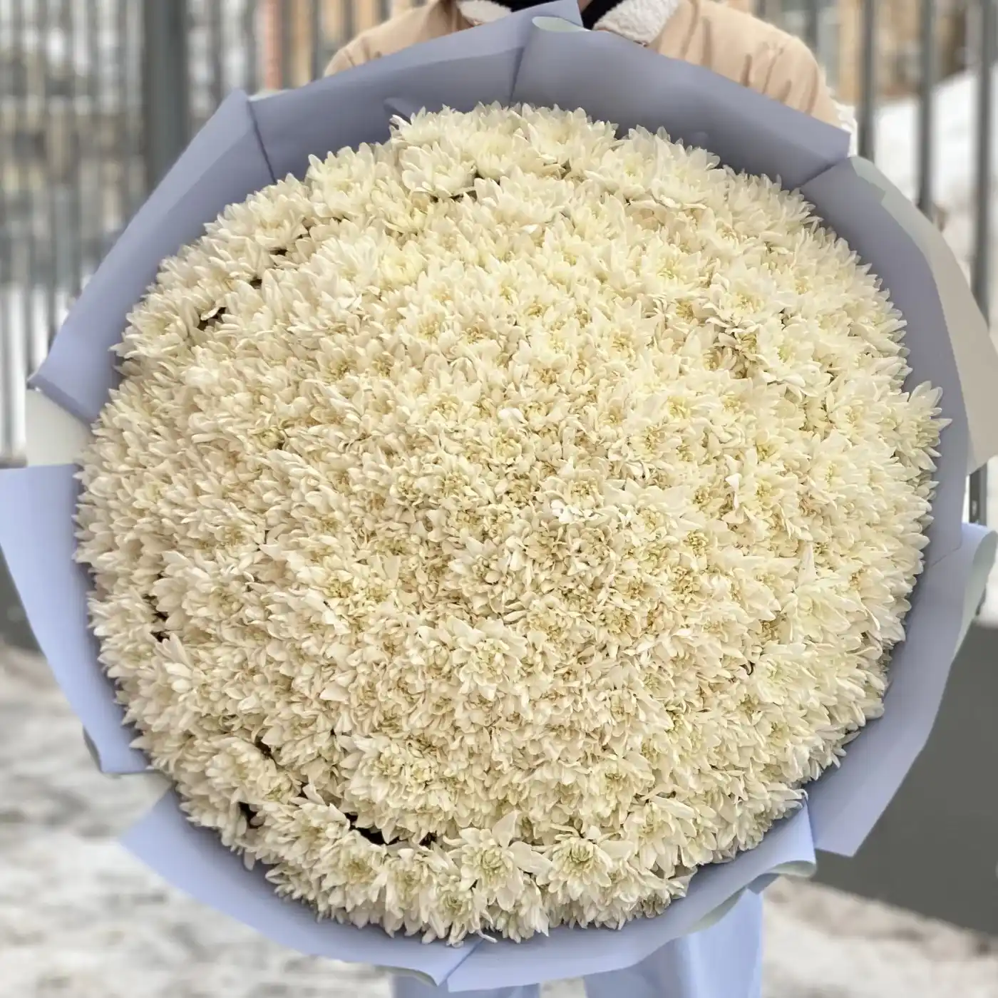 Акция! 101 белая кустовая хризантема в оформлении