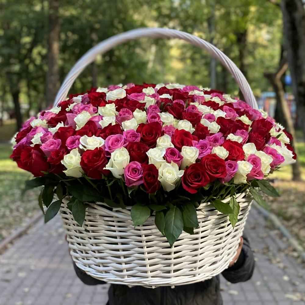 Акция! 301 роза Яркий Mix в корзине!