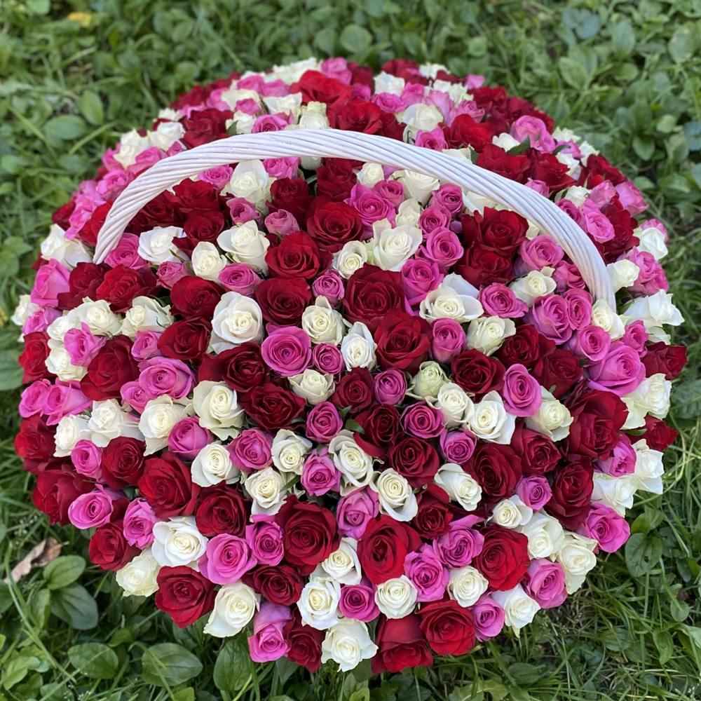 Акция! 301 роза Яркий Mix в корзине!