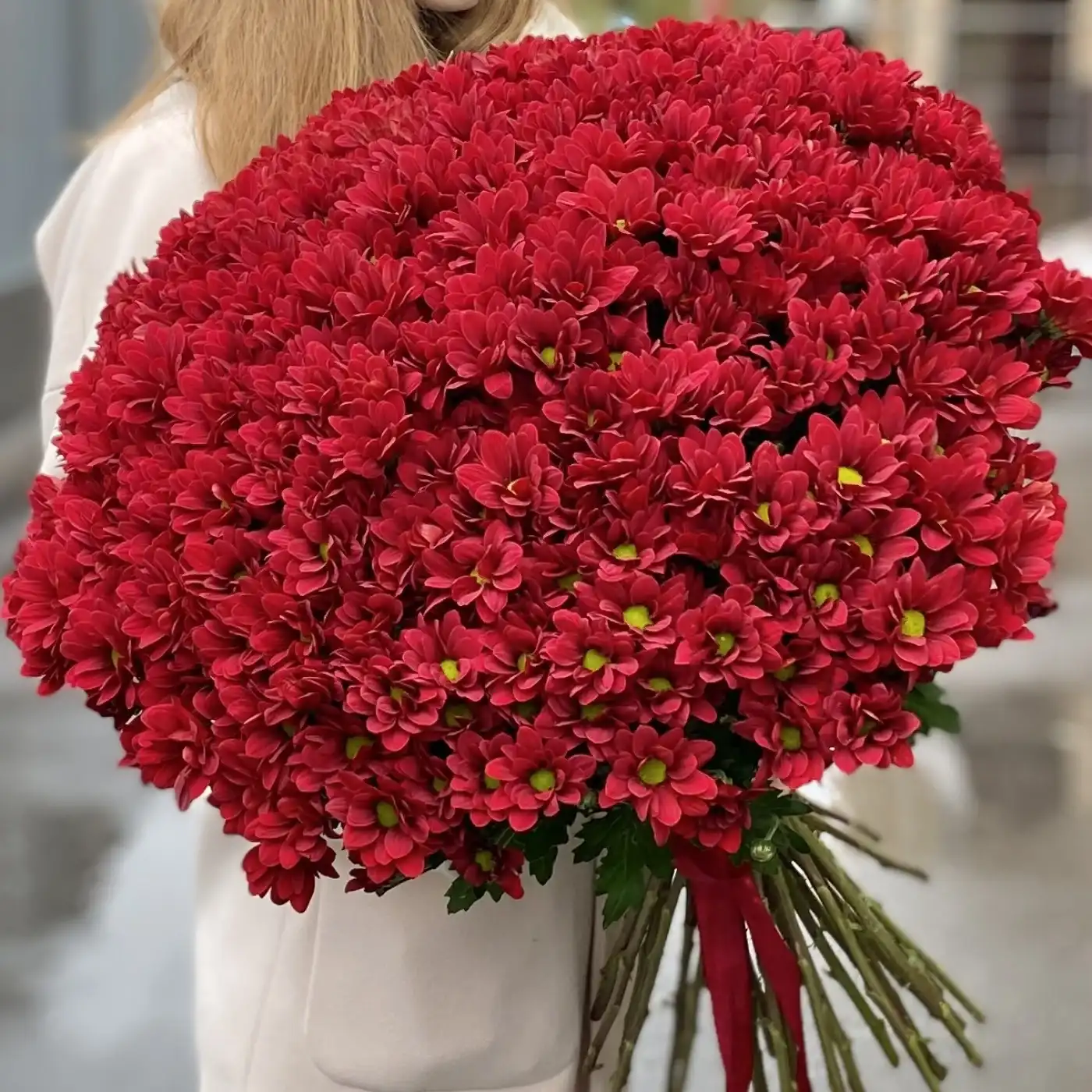 Акция! 51 бордовая кустовая хризантема