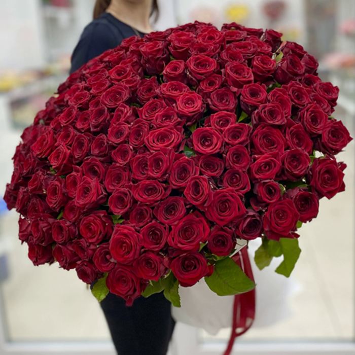 Акция! 151 красная роза Premium 50 см.