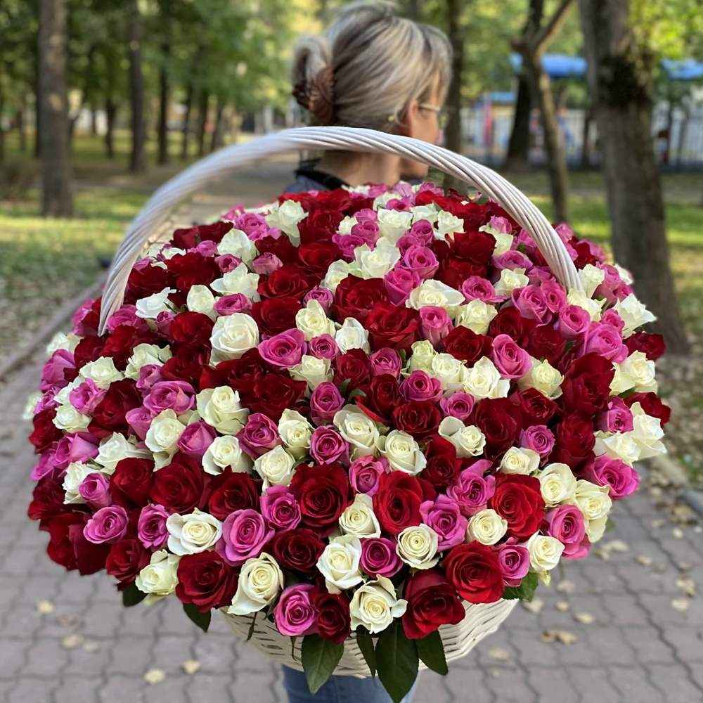 Акция! 301 роза Яркий Mix в корзине!