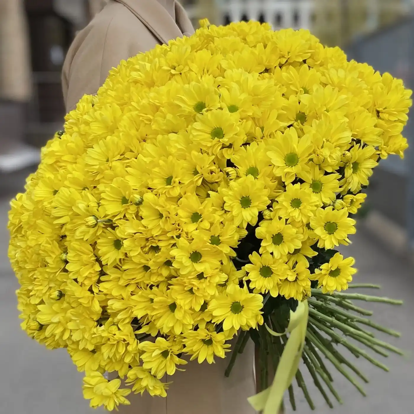 Акция! 51 жёлтая кустовая хризантема