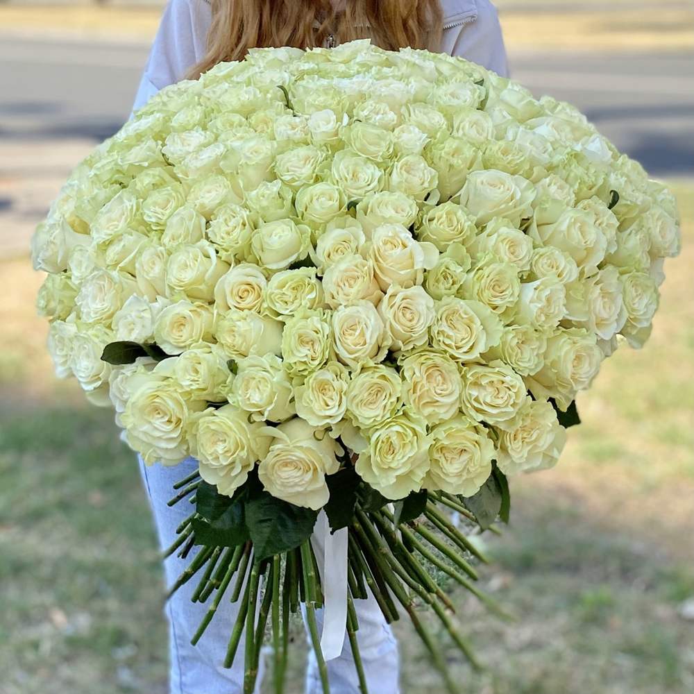 Акция! 151 белая роза Premium 50 см.