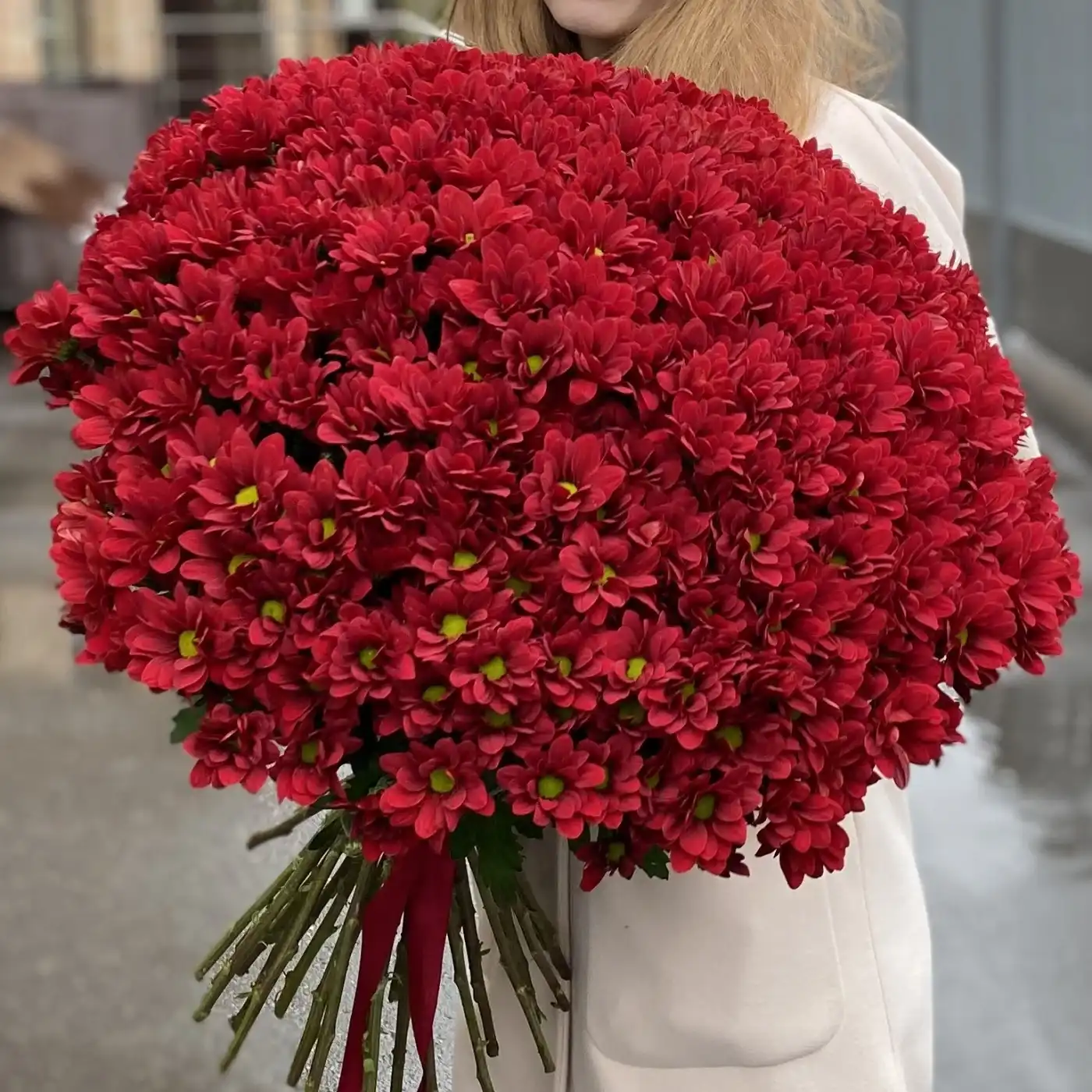 Акция! 51 бордовая кустовая хризантема