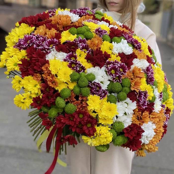 Акция! 101 кустовая хризантема Яркий Микс