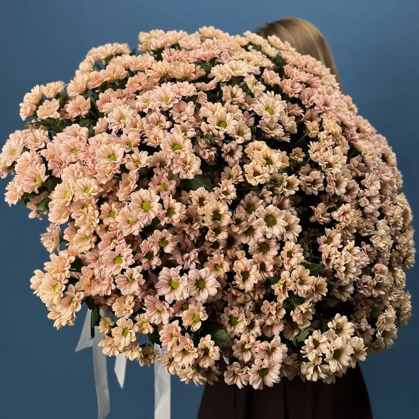 Акция! 101 кремовая кустовая хризантема!