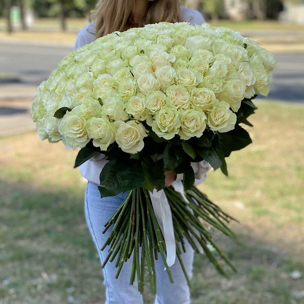 Акция! 151 белая роза Premium 50 см.