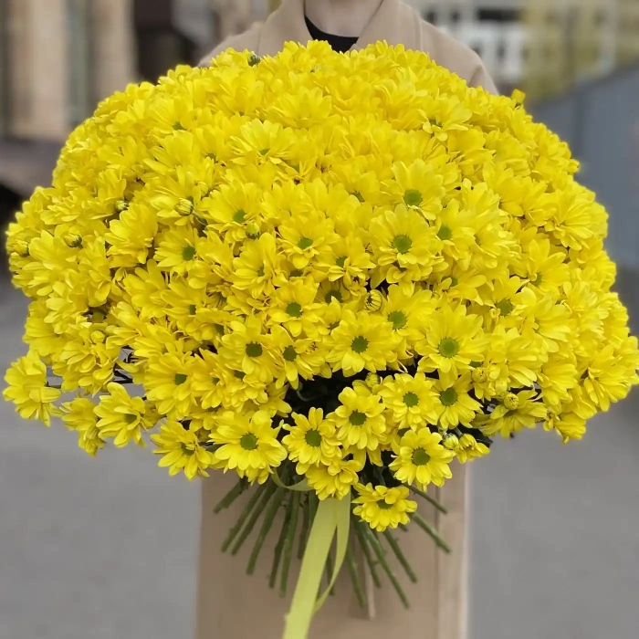 Акция! 51 жёлтая кустовая хризантема