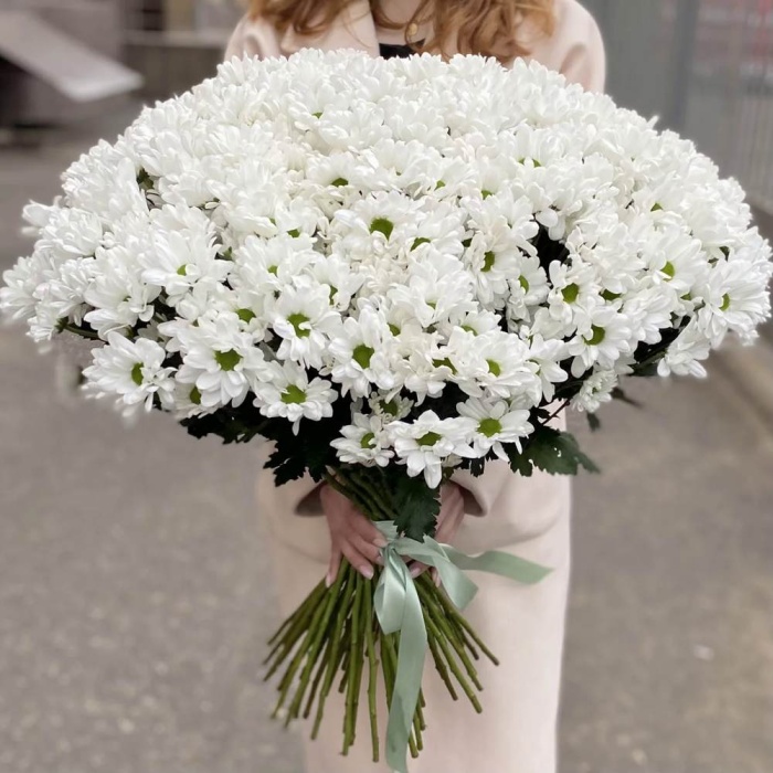Акция! 51 белая кустовая хризантема