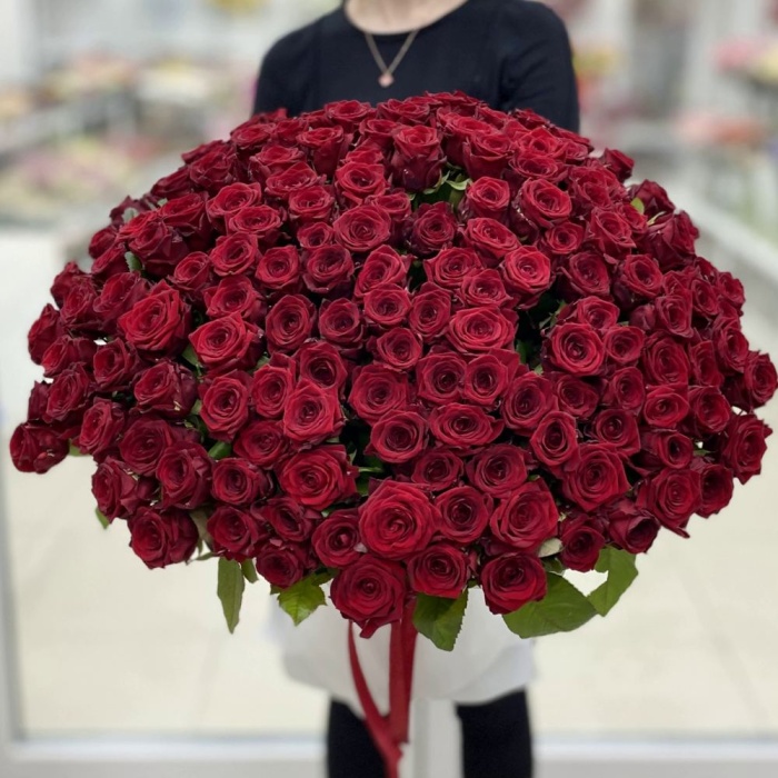 Акция! 151 красная роза Premium 50 см.