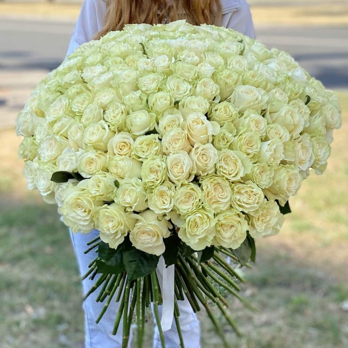 Акция! 151 белая роза Premium 50 см.