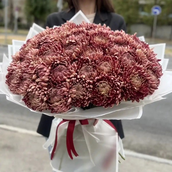 Акция! 51 бордовая хризантема